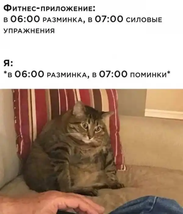 Баянисто-небаянистый юмор