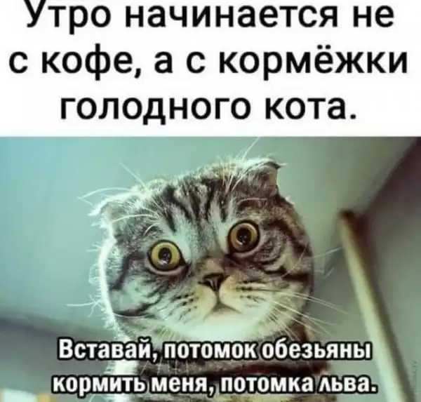 Картинки и мемы для настроения