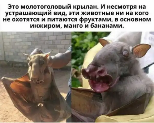 Картинки с надписями и всякие жизненные фразы