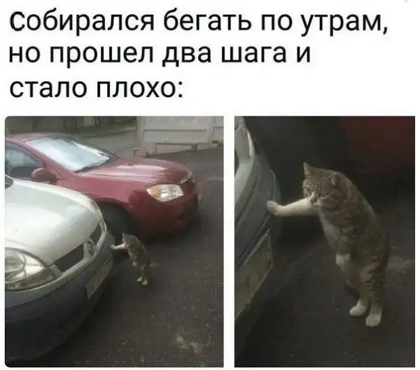 Картинки с надписями и всякие жизненные фразы