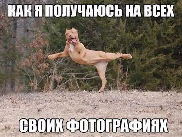 Так себе картинки