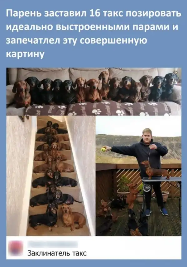 Так себе картинки