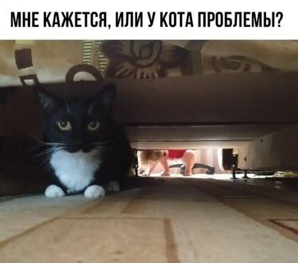 Смешные комментарии из соц.сетей