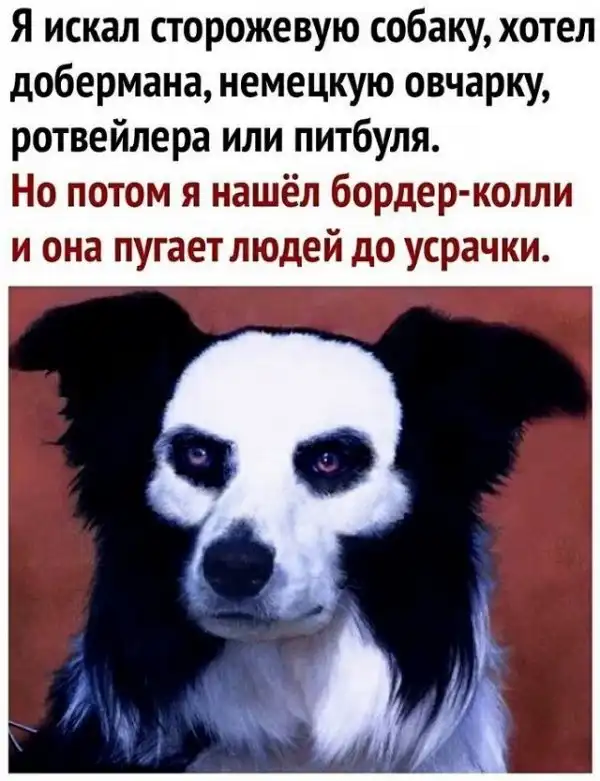 Смешные комментарии из соц.сетей