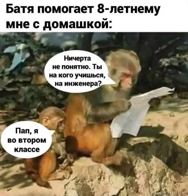 Весёлые