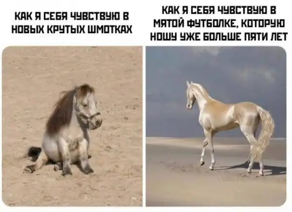 Весёлые