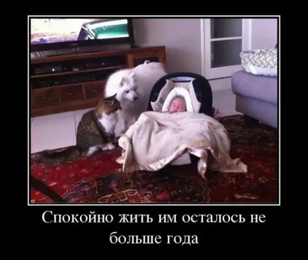 Так себе картинки