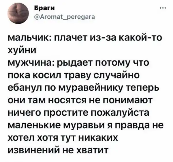 Скрины из соцсетей