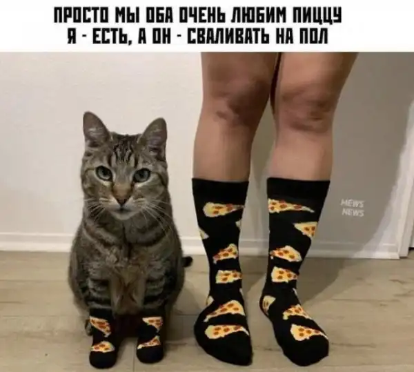 Скрины из соцсетей