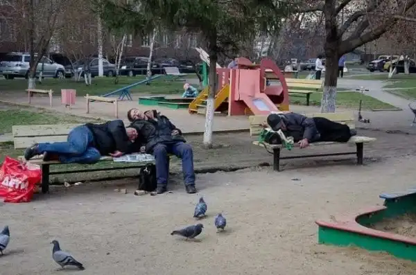 Скотсети и прочие интернеты