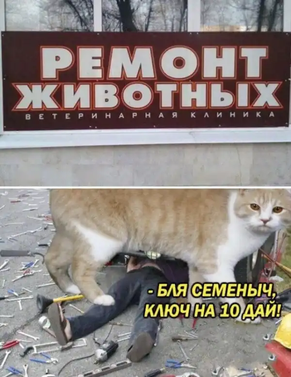 Картинки с надписями