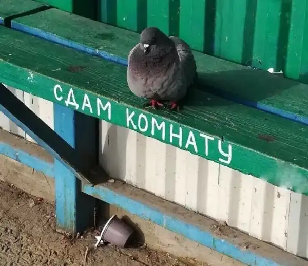 Спокойно! С вами всё в порядке, а вот с реальностью что-то явно не так