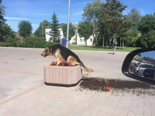 Спокойно! С вами всё в порядке, а вот с реальностью что-то явно не так