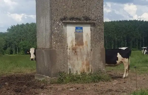 Спокойно! С вами всё в порядке, а вот с реальностью что-то явно не так