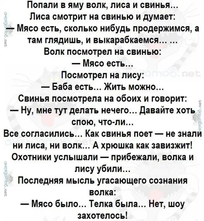 Анекдоты про шоу. Лучшие анекдоты. Анекдот нет шоу захотелось. Анекдот про лису волка и яму. Анекдот про волка и яму.