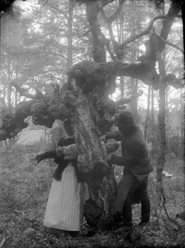 Исторический винегрет архивных фото Исторический винегрет архивных фото