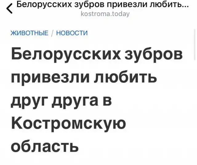 Смешные и забавные заголовки из российских СМИ