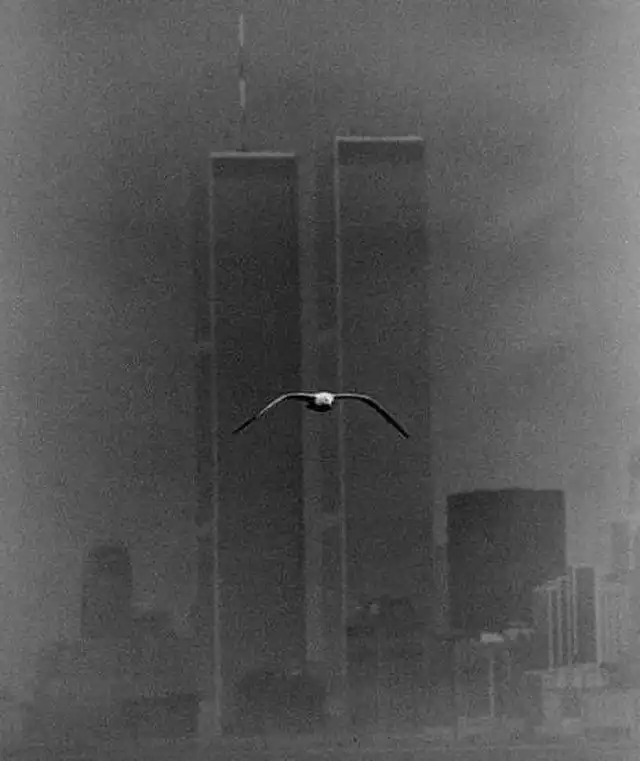 Яркие черно-белые исторические фотографии из архивов Яркие черно-белые исторические фотографии из архивов
