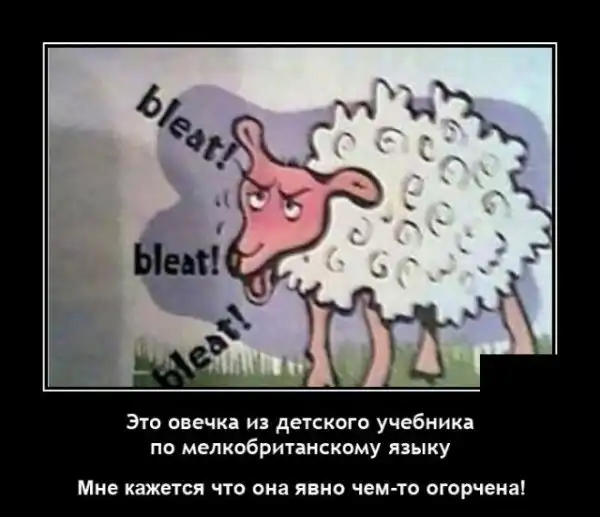 Прикольные и просто красивые картинки