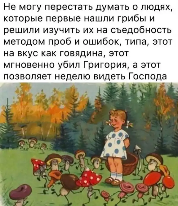 Прикольные и просто красивые картинки
