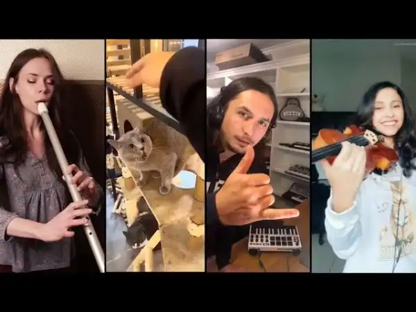 Кот и The Kiffness объединили музыкантов из разных стран