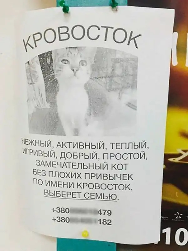 Подборка черного и немного пошлого юмора