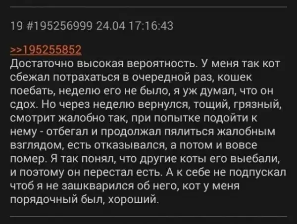 Подборка черного и немного пошлого юмора