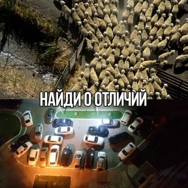 Весёлые