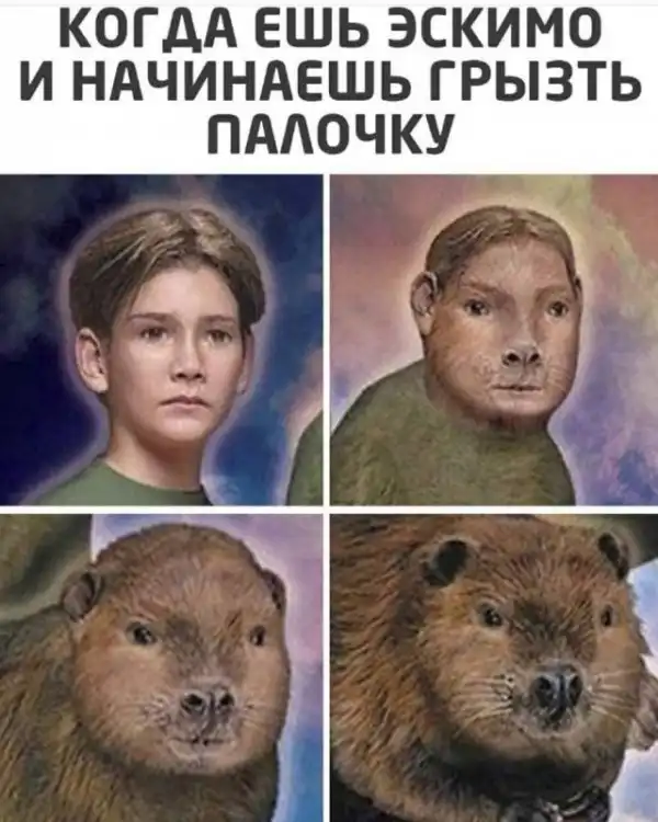 Деградация