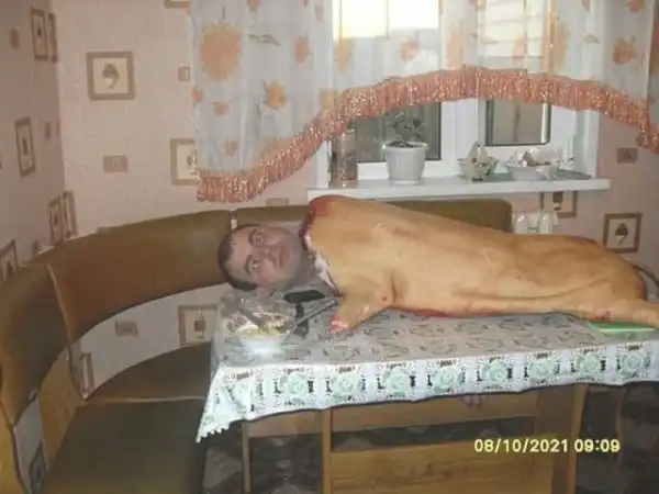 Деградация