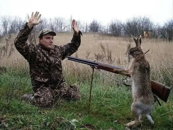 Деградация