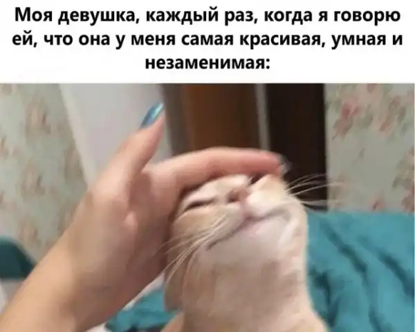 Картинки и мемы для настроения