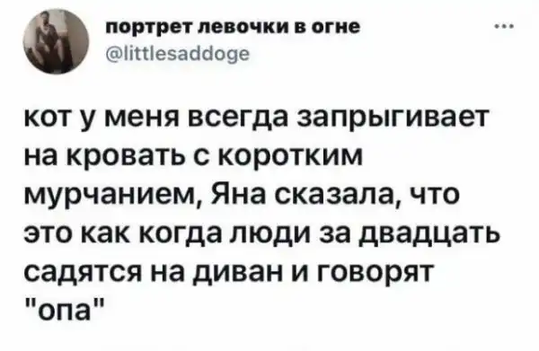 Картинки и мемы для настроения