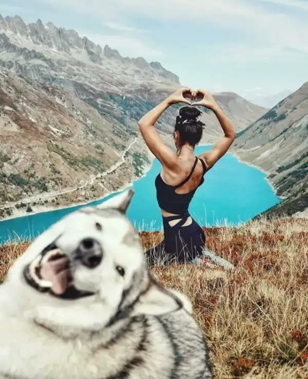 Веселые собачьи фотки