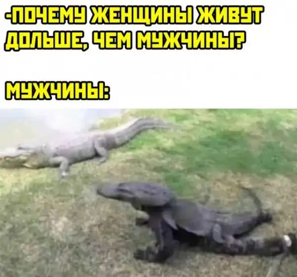 Весёлые