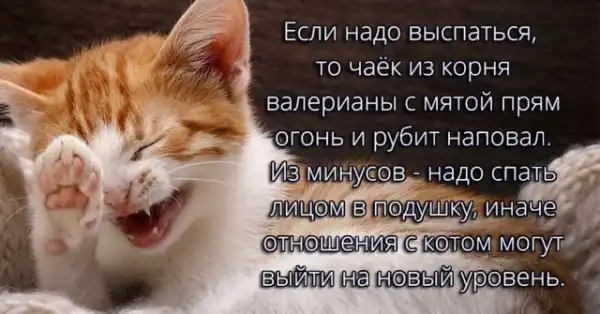 Вот тут!