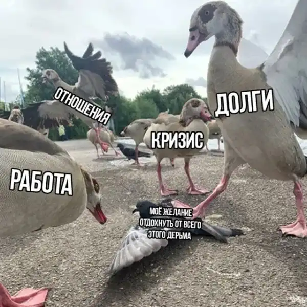 Весёлые