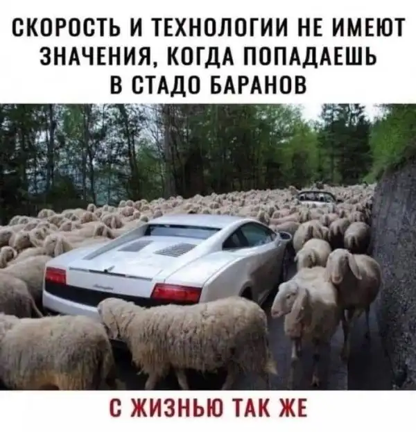 Смешные комментарии из соц.сетей