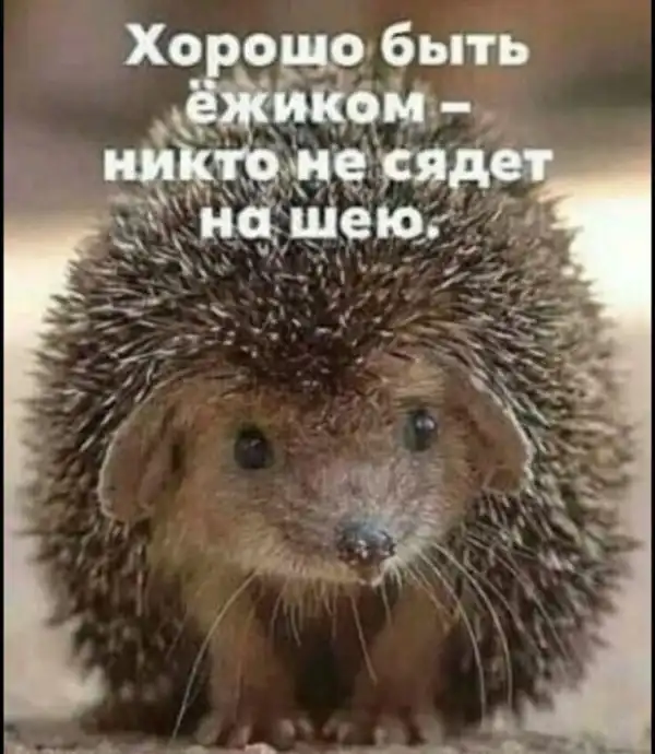 Баянисто-небаянистый юмор