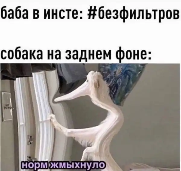 Баянисто-небаянистый юмор