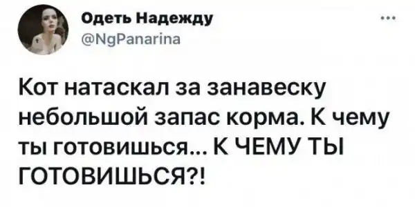 Смешные комментарии из соц.сетей