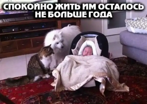 Смешные комментарии из соц.сетей