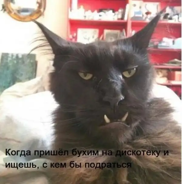 Смешные комментарии из соц.сетей