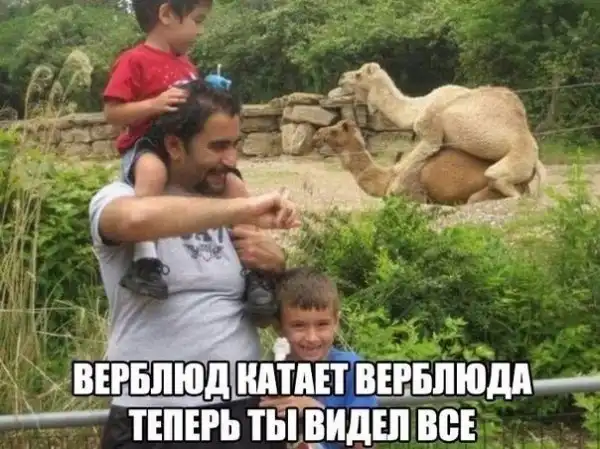 Смешные комментарии из соц.сетей