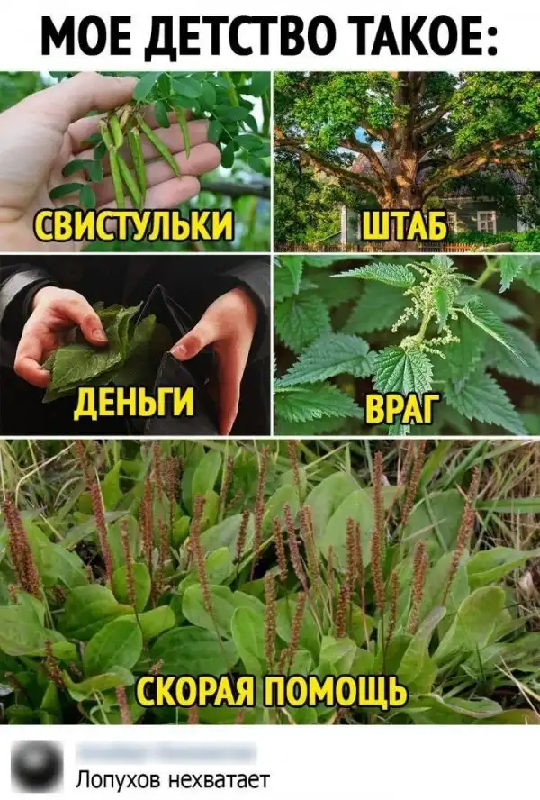 Смешные комментарии из соц.сетей