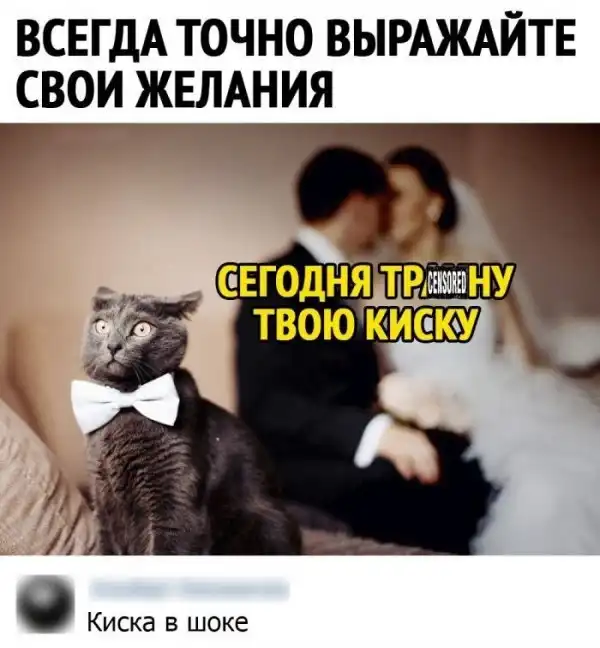 Смешные комментарии из соц.сетей