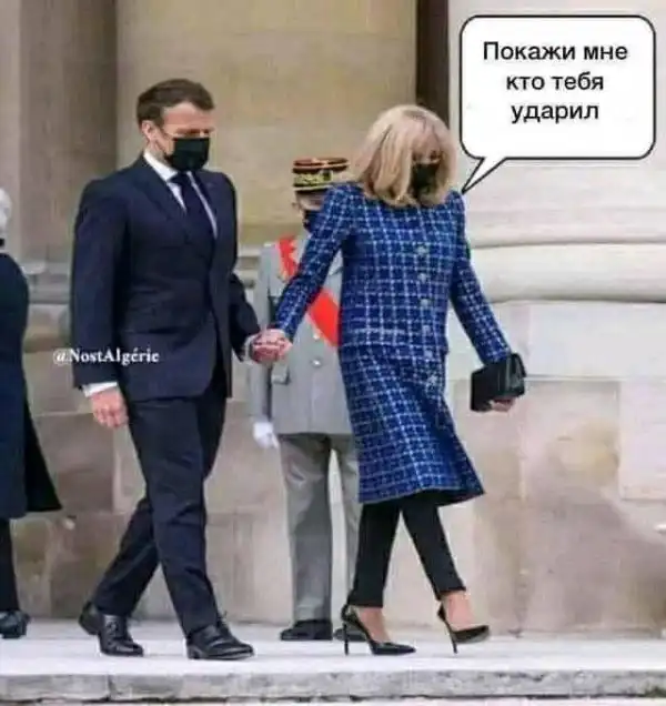 Всяческие картинки