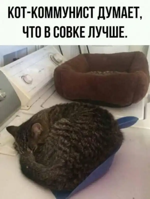 Всяческие картинки