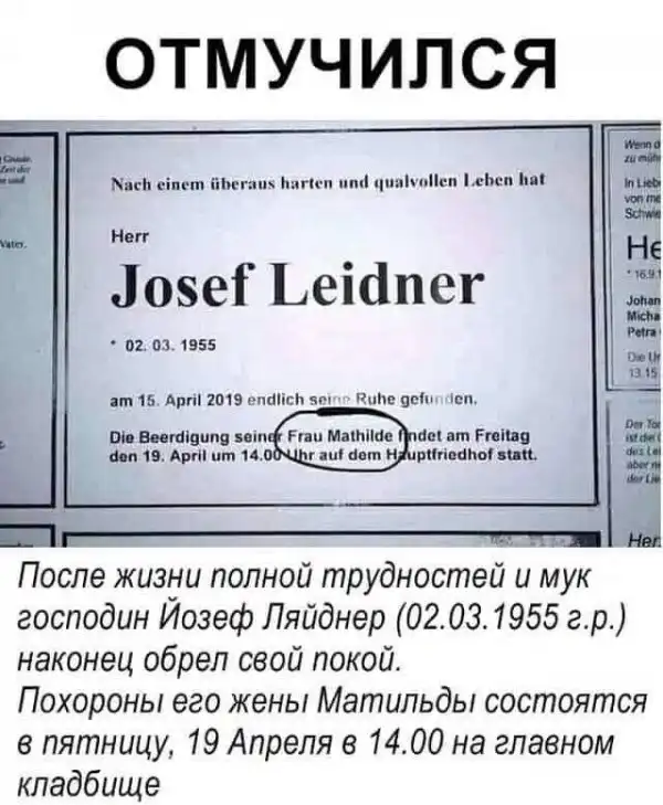 Всяческие картинки
