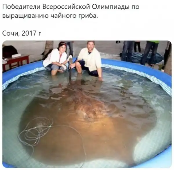 Картинок пост